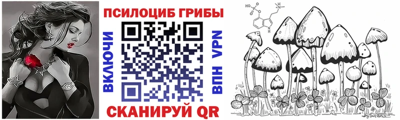 кракен зеркало  Арск  это как зайти  Псилоцибиновые грибы Cubensis 